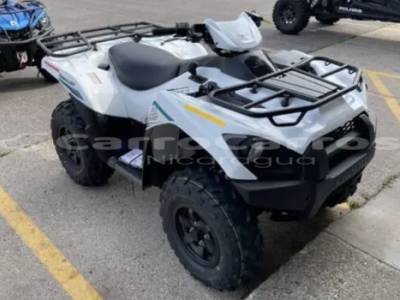 2023 Kawasaki Brute Force